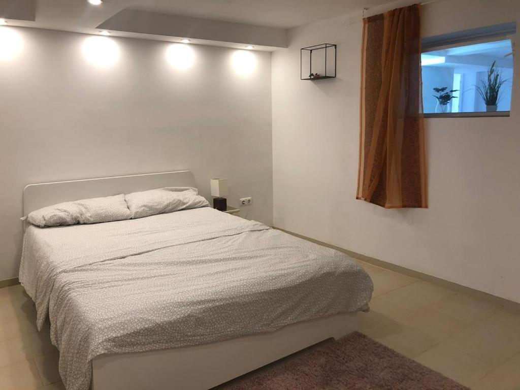 Bescheidene Untergeschoss Wohnung In Guter Lage. Köln Kültér fotó